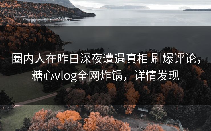 圈内人在昨日深夜遭遇真相 刷爆评论，糖心vlog全网炸锅，详情发现